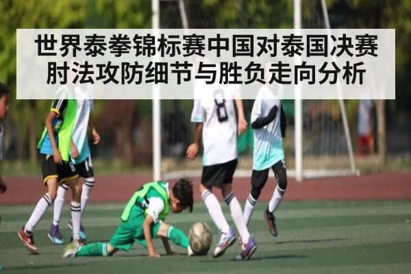 世界泰拳锦标赛中国对泰国决赛肘法攻防细节与胜负走向分析